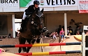Hoffest und Reitturnier in Wollersleben (Foto: Peter Blei)