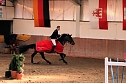 Hoffest und Reitturnier in Wollersleben (Foto: Peter Blei)
