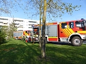 Grasnarbe hatte Feuer gefangen (Foto: nnz)