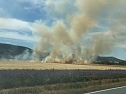 Feldbrand zwischen Gro&szlig;- und Kleinfurra (Foto: S. Dietzel)