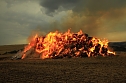 Fast 500 Strohballen brennen bei Auleben (Foto: S. Dietzel)