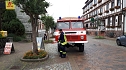 Kameradinnen und Kameraden der Freiwilligen Feuerwehr Neustadt/Osterode bewässerten erneut Bäume und Sträucher (Foto: Ch. Burkert) Kameradinnen und Kameraden der Freiwilligen Feuerwehr Neustadt/Osterode bewässerten erneut Bäume und Sträucher (Foto: Ch. Burkert)