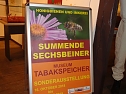 Summende Sechsbeiner im Tabakspeicher (Foto: Georg Backhaus)