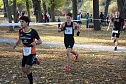 Stadtparklauf in Sondershausen (2) (Foto: Karl-Heinz Herrmann)
