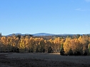 Herbst im Harz (Foto: Peter Blei) Herbst im Harz (Foto: Peter Blei)