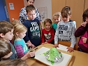 Forschertage an der Grundschule Werther (Foto: Sabine Wagner)