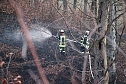 Fl&auml;chenbrand bei Gro&szlig;lohra (Foto: S. Dietzel)
