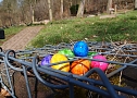 Ostereiersuche im Ilfelder Ahornpark (Foto: privat) Ostereiersuche im Ilfelder Ahornpark (Foto: privat)