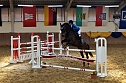 3. Hallenmeisterschaft Springreiten (Foto: nnz)