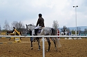 3. Hallenmeisterschaft Springreiten (Foto: nnz)