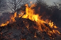 Osterfeuer in Leimbach (Foto: C. Wilhelm)