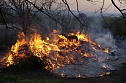 Osterfeuer in Leimbach (Foto: C. Wilhelm)