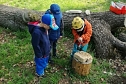 Die Kinder des Waldkindergarten bauen ein Insektenhotel (Foto: Waldkindergarten Ilfeld) Die Kinder des Waldkindergarten bauen ein Insektenhotel (Foto: Waldkindergarten Ilfeld)