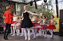 Tanzstudio Radeva beim Rolandsfest (Foto: C. Wilhelm) Tanzstudio Radeva beim Rolandsfest (Foto: C. Wilhelm)