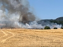 Brand zwischen Werna und Ellrich (Foto: privat)