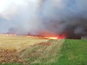 Brand zwischen Werna und Ellrich (Foto: privat)