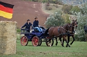 S&uuml;dharz Rallye f&uuml;r Pferdegespanne (Foto: C. Wilhelm)