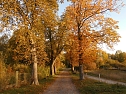 Herbst (Foto: Bernd Thielbeer)
