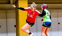 Das vergangenen Handball-Wochenende (Foto: NSV)
