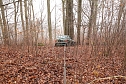 auto im Wald (Foto: S.Dietzel) auto im Wald (Foto: S.Dietzel)