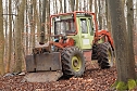 auto im Wald (Foto: S.Dietzel) auto im Wald (Foto: S.Dietzel)