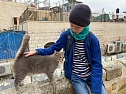 Besuch der Gedenkstätte Yad Vashem und Spaziergang durch die Jerusalemer Altstadt (Foto: Ivonne Stechardt-Lauer) Besuch der Gedenkstätte Yad Vashem und Spaziergang durch die Jerusalemer Altstadt (Foto: Ivonne Stechardt-Lauer)