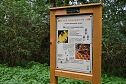 Auf dem Südharzer Bienenlehrpfad (Foto: Thomas Soszynski) Auf dem Südharzer Bienenlehrpfad (Foto: Thomas Soszynski)