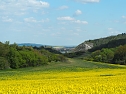 Wandern am Stausee Kelbra (Foto: Familie Friedling)