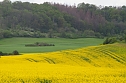 Unterwegs bei Auleben (Foto: J&uuml;rgen Friedling)