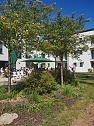 Viel losem Rolandhaus (Foto: Seniorenwohn- und Pflegezentrum Rolandhaus) Viel losem Rolandhaus (Foto: Seniorenwohn- und Pflegezentrum Rolandhaus)