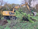 Aufr&auml;umarbeiten mit schwerem Ger&auml;t im Park Hohenrode (Foto: Jochen Einenckel)