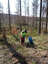 Pflanzaktion der Stadtwerke Wernigerode (Foto: Dr. Friedhart Knolle, Nationalpark Harz)