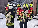 Rettung in der Not: in Lipprechterode konnten die freiwilligen Feuerwehren heute rund 350 Schafe bergen (Foto: Freiwillige Feuerwehr Lipprechterode) Rettung in der Not: in Lipprechterode konnten die freiwilligen Feuerwehren heute rund 350 Schafe bergen (Foto: Freiwillige Feuerwehr Lipprechterode)