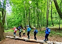 F&uuml;r die Kleinen der Kinderwelt am Frauenberg geht es endlich wieder in den Wald (Foto: Jennifer Kolditz)