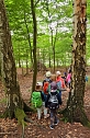 F&uuml;r die Kleinen der Kinderwelt am Frauenberg geht es endlich wieder in den Wald (Foto: Jennifer Kolditz)