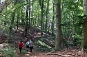 Erste Wanderung auf dem Urwaldpfad bei R&uuml;digsdorf (Foto: S.Staubitz)