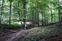 Erste Wanderung auf dem Urwaldpfad bei R&uuml;digsdorf (Foto: S.Staubitz)