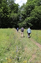 Erste Wanderung auf dem Urwaldpfad bei R&uuml;digsdorf (Foto: S.Staubitz)