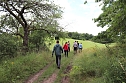 Erste Wanderung auf dem Urwaldpfad bei R&uuml;digsdorf (Foto: S.Staubitz)