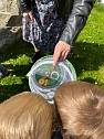 Schmetterlingsprojekt im Kindergarten (Foto: K.Krusche)