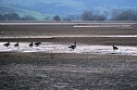 Spaziergang am Stausee Kelbra mit interessanten An- und Aussichten (Foto: P.Blei) Spaziergang am Stausee Kelbra mit interessanten An- und Aussichten (Foto: P.Blei)