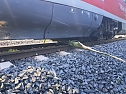 Bahn kollidiert mit &Auml;sten (Foto: S. Dietzel)