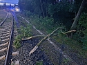 Bahn kollidiert mit &Auml;sten (Foto: S. Dietzel)