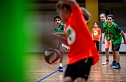 Zweifelderballturnier der Grundschulen (Foto: Christoph Keil)