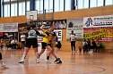 Hartes Handballwochenende für den NSV (Foto: NSV) Hartes Handballwochenende für den NSV (Foto: NSV)