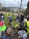 Baumpflanzung 2.0 an der Petersbergschule (Foto: K. Bauditz)