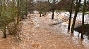 Hochwasser bei Sundhausen, Meldestufe 3 erreicht (Foto: Silvio Dietzel)