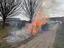 Heckenbrand in Heringen (Foto: S. Dietzel)