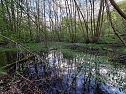 Sturmsch&auml;den,viel Wasser und sehr gute Fernsicht am ehemaligen Wald bei Urbach (Foto: Peter Blei)