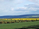 Sturmsch&auml;den,viel Wasser und sehr gute Fernsicht am ehemaligen Wald bei Urbach (Foto: Peter Blei)